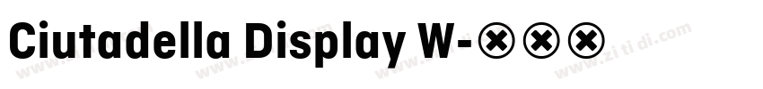 Ciutadella Display W字体转换